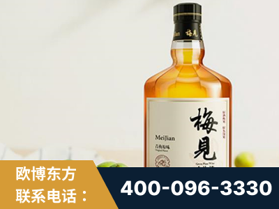 廊坊-梅见青梅酒